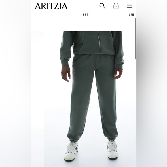 Aritzia Super Fleece sweatpants - Picture 5 of 5